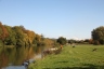 Pangbourne 14